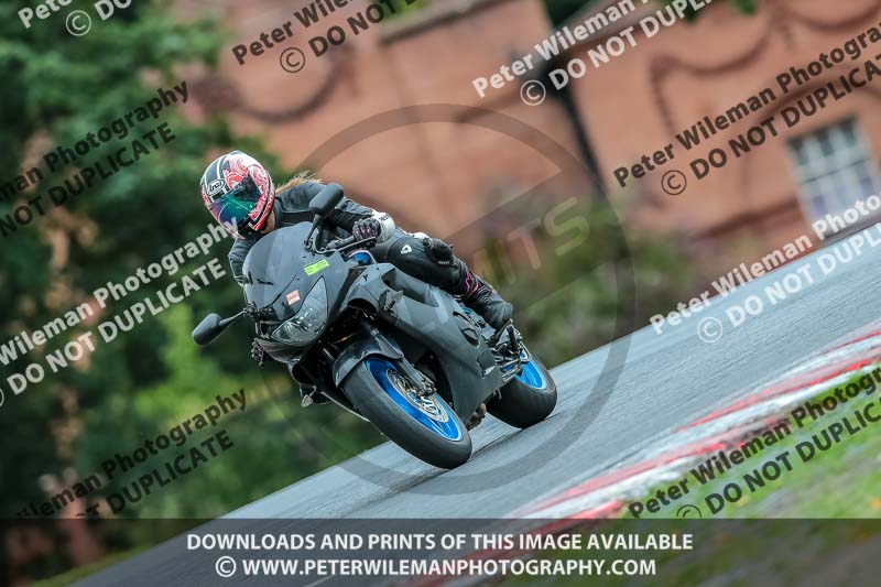 Oulton Park 17 Aug 2018;PJ Motorsport Photography 2018;anglesey;brands hatch;cadwell park;croft;donington park;enduro digital images;event digital images;eventdigitalimages;mallory;no limits;oulton park;peter wileman photography;racing digital images;silverstone;snetterton;trackday digital images;trackday photos;vmcc banbury run;welsh 2 day enduro