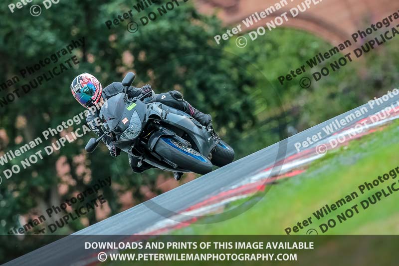 Oulton Park 17 Aug 2018;PJ Motorsport Photography 2018;anglesey;brands hatch;cadwell park;croft;donington park;enduro digital images;event digital images;eventdigitalimages;mallory;no limits;oulton park;peter wileman photography;racing digital images;silverstone;snetterton;trackday digital images;trackday photos;vmcc banbury run;welsh 2 day enduro