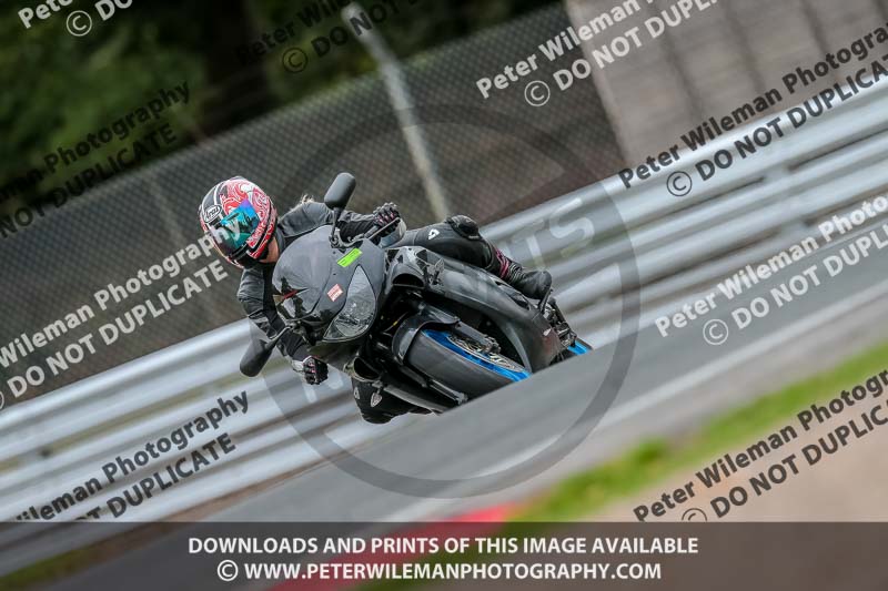 Oulton Park 17 Aug 2018;PJ Motorsport Photography 2018;anglesey;brands hatch;cadwell park;croft;donington park;enduro digital images;event digital images;eventdigitalimages;mallory;no limits;oulton park;peter wileman photography;racing digital images;silverstone;snetterton;trackday digital images;trackday photos;vmcc banbury run;welsh 2 day enduro