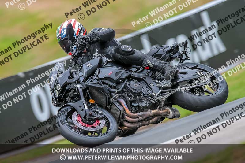 Oulton Park 17 Aug 2018;PJ Motorsport Photography 2018;anglesey;brands hatch;cadwell park;croft;donington park;enduro digital images;event digital images;eventdigitalimages;mallory;no limits;oulton park;peter wileman photography;racing digital images;silverstone;snetterton;trackday digital images;trackday photos;vmcc banbury run;welsh 2 day enduro