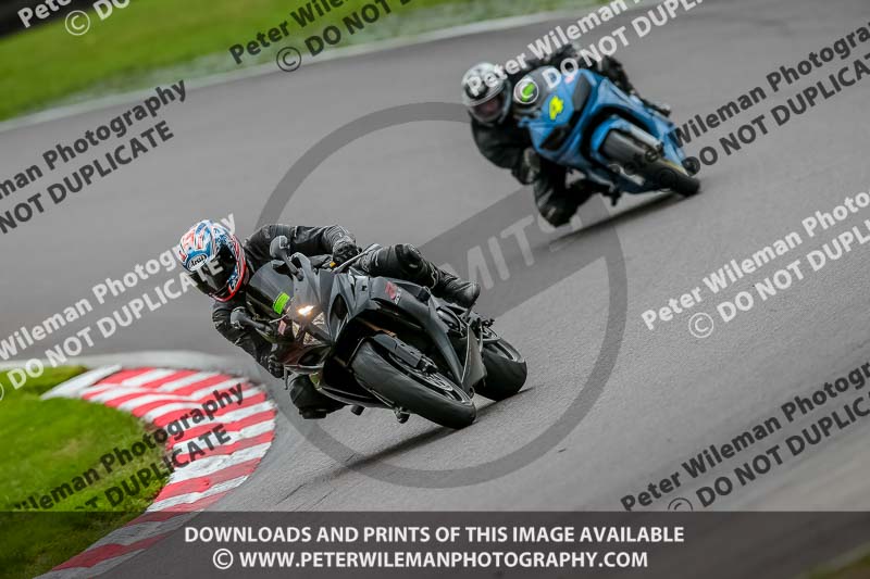 Oulton Park 17 Aug 2018;PJ Motorsport Photography 2018;anglesey;brands hatch;cadwell park;croft;donington park;enduro digital images;event digital images;eventdigitalimages;mallory;no limits;oulton park;peter wileman photography;racing digital images;silverstone;snetterton;trackday digital images;trackday photos;vmcc banbury run;welsh 2 day enduro