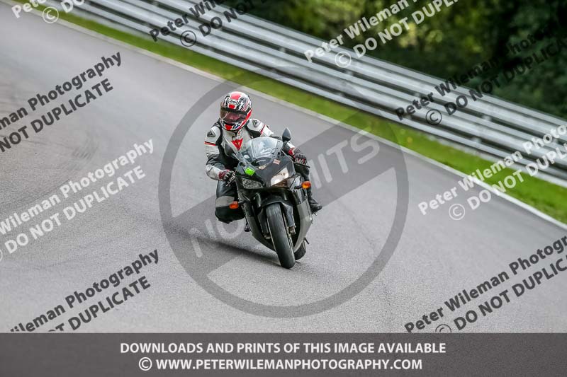 Oulton Park 17 Aug 2018;PJ Motorsport Photography 2018;anglesey;brands hatch;cadwell park;croft;donington park;enduro digital images;event digital images;eventdigitalimages;mallory;no limits;oulton park;peter wileman photography;racing digital images;silverstone;snetterton;trackday digital images;trackday photos;vmcc banbury run;welsh 2 day enduro