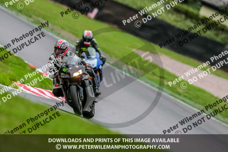 Oulton Park 17 Aug 2018;PJ Motorsport Photography 2018;anglesey;brands hatch;cadwell park;croft;donington park;enduro digital images;event digital images;eventdigitalimages;mallory;no limits;oulton park;peter wileman photography;racing digital images;silverstone;snetterton;trackday digital images;trackday photos;vmcc banbury run;welsh 2 day enduro