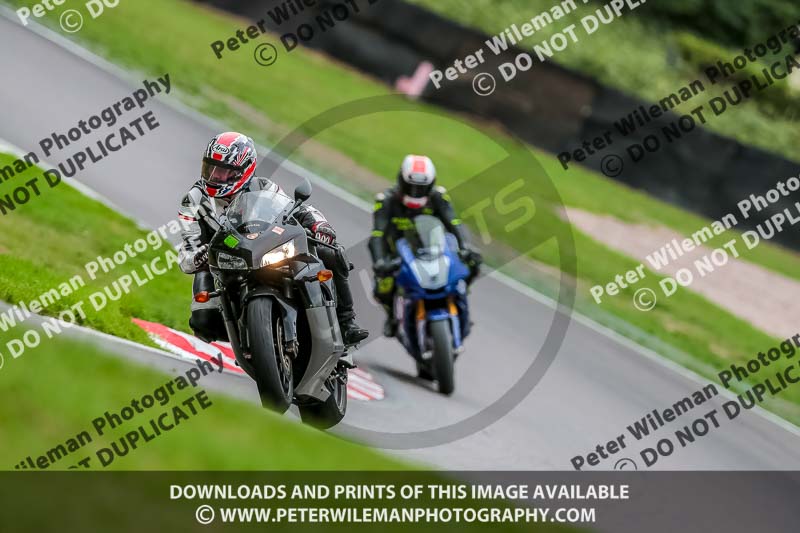 Oulton Park 17 Aug 2018;PJ Motorsport Photography 2018;anglesey;brands hatch;cadwell park;croft;donington park;enduro digital images;event digital images;eventdigitalimages;mallory;no limits;oulton park;peter wileman photography;racing digital images;silverstone;snetterton;trackday digital images;trackday photos;vmcc banbury run;welsh 2 day enduro