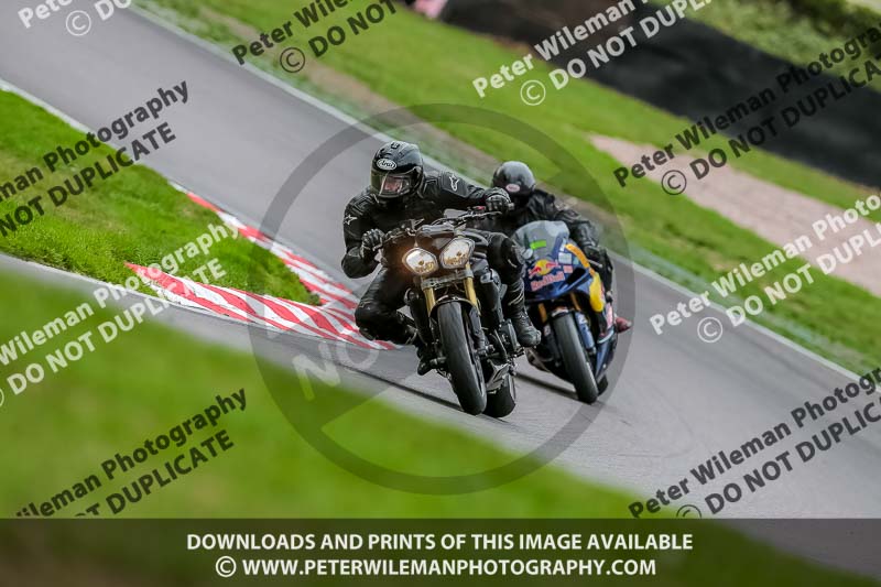 Oulton Park 17 Aug 2018;PJ Motorsport Photography 2018;anglesey;brands hatch;cadwell park;croft;donington park;enduro digital images;event digital images;eventdigitalimages;mallory;no limits;oulton park;peter wileman photography;racing digital images;silverstone;snetterton;trackday digital images;trackday photos;vmcc banbury run;welsh 2 day enduro