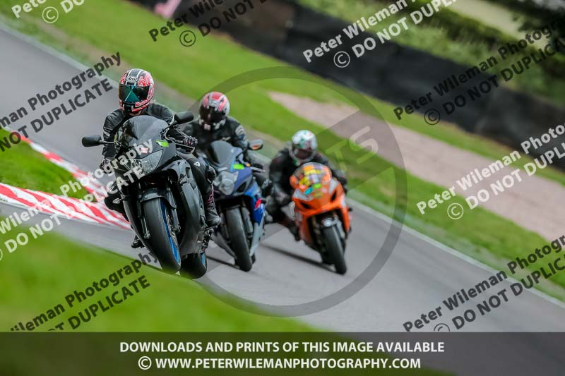 Oulton Park 17 Aug 2018;PJ Motorsport Photography 2018;anglesey;brands hatch;cadwell park;croft;donington park;enduro digital images;event digital images;eventdigitalimages;mallory;no limits;oulton park;peter wileman photography;racing digital images;silverstone;snetterton;trackday digital images;trackday photos;vmcc banbury run;welsh 2 day enduro