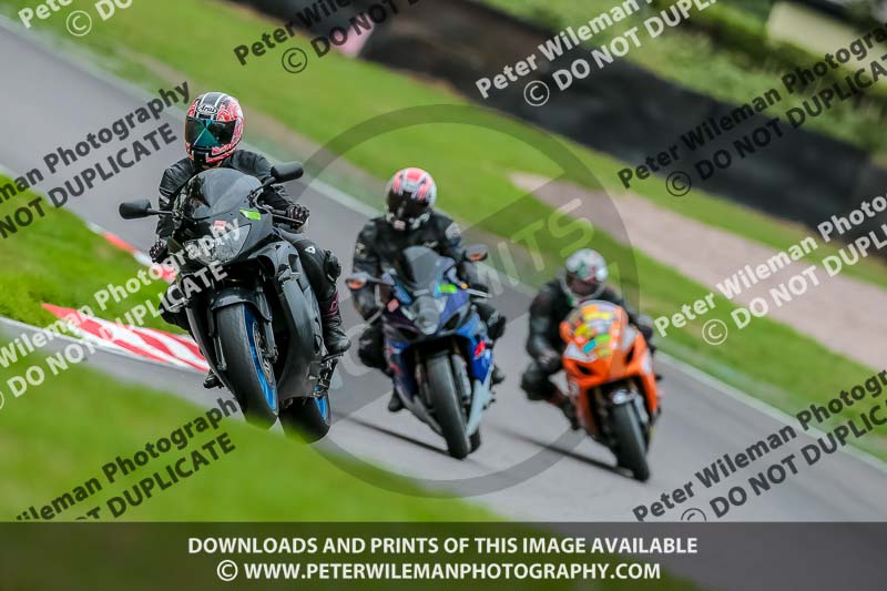 Oulton Park 17 Aug 2018;PJ Motorsport Photography 2018;anglesey;brands hatch;cadwell park;croft;donington park;enduro digital images;event digital images;eventdigitalimages;mallory;no limits;oulton park;peter wileman photography;racing digital images;silverstone;snetterton;trackday digital images;trackday photos;vmcc banbury run;welsh 2 day enduro