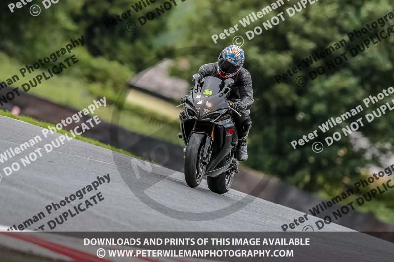 Oulton Park 17 Aug 2018;PJ Motorsport Photography 2018;anglesey;brands hatch;cadwell park;croft;donington park;enduro digital images;event digital images;eventdigitalimages;mallory;no limits;oulton park;peter wileman photography;racing digital images;silverstone;snetterton;trackday digital images;trackday photos;vmcc banbury run;welsh 2 day enduro