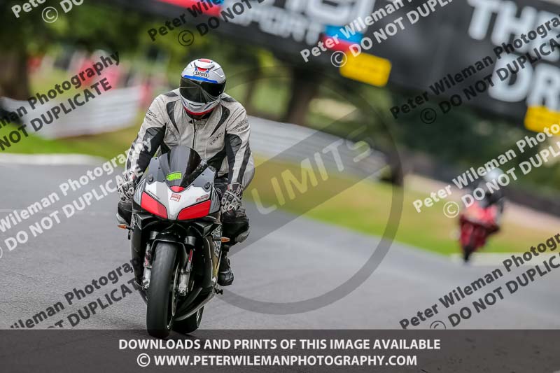 Oulton Park 17 Aug 2018;PJ Motorsport Photography 2018;anglesey;brands hatch;cadwell park;croft;donington park;enduro digital images;event digital images;eventdigitalimages;mallory;no limits;oulton park;peter wileman photography;racing digital images;silverstone;snetterton;trackday digital images;trackday photos;vmcc banbury run;welsh 2 day enduro