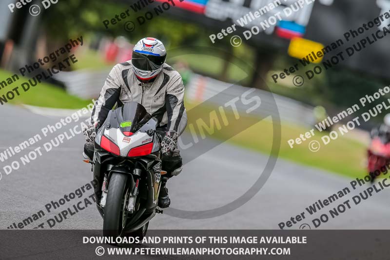 Oulton Park 17 Aug 2018;PJ Motorsport Photography 2018;anglesey;brands hatch;cadwell park;croft;donington park;enduro digital images;event digital images;eventdigitalimages;mallory;no limits;oulton park;peter wileman photography;racing digital images;silverstone;snetterton;trackday digital images;trackday photos;vmcc banbury run;welsh 2 day enduro