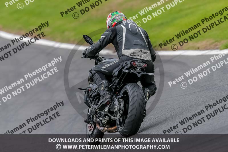 Oulton Park 17 Aug 2018;PJ Motorsport Photography 2018;anglesey;brands hatch;cadwell park;croft;donington park;enduro digital images;event digital images;eventdigitalimages;mallory;no limits;oulton park;peter wileman photography;racing digital images;silverstone;snetterton;trackday digital images;trackday photos;vmcc banbury run;welsh 2 day enduro