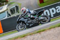 Oulton-Park-17-Aug-2018;PJ-Motorsport-Photography-2018;anglesey;brands-hatch;cadwell-park;croft;donington-park;enduro-digital-images;event-digital-images;eventdigitalimages;mallory;no-limits;oulton-park;peter-wileman-photography;racing-digital-images;silverstone;snetterton;trackday-digital-images;trackday-photos;vmcc-banbury-run;welsh-2-day-enduro