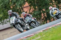 Oulton-Park-17-Aug-2018;PJ-Motorsport-Photography-2018;anglesey;brands-hatch;cadwell-park;croft;donington-park;enduro-digital-images;event-digital-images;eventdigitalimages;mallory;no-limits;oulton-park;peter-wileman-photography;racing-digital-images;silverstone;snetterton;trackday-digital-images;trackday-photos;vmcc-banbury-run;welsh-2-day-enduro