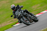 Oulton-Park-17-Aug-2018;PJ-Motorsport-Photography-2018;anglesey;brands-hatch;cadwell-park;croft;donington-park;enduro-digital-images;event-digital-images;eventdigitalimages;mallory;no-limits;oulton-park;peter-wileman-photography;racing-digital-images;silverstone;snetterton;trackday-digital-images;trackday-photos;vmcc-banbury-run;welsh-2-day-enduro