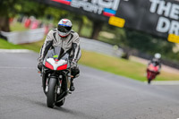 Oulton-Park-17-Aug-2018;PJ-Motorsport-Photography-2018;anglesey;brands-hatch;cadwell-park;croft;donington-park;enduro-digital-images;event-digital-images;eventdigitalimages;mallory;no-limits;oulton-park;peter-wileman-photography;racing-digital-images;silverstone;snetterton;trackday-digital-images;trackday-photos;vmcc-banbury-run;welsh-2-day-enduro