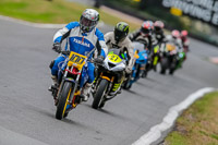 Oulton-Park-17-Aug-2018;PJ-Motorsport-Photography-2018;anglesey;brands-hatch;cadwell-park;croft;donington-park;enduro-digital-images;event-digital-images;eventdigitalimages;mallory;no-limits;oulton-park;peter-wileman-photography;racing-digital-images;silverstone;snetterton;trackday-digital-images;trackday-photos;vmcc-banbury-run;welsh-2-day-enduro