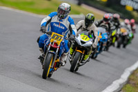 Oulton-Park-17-Aug-2018;PJ-Motorsport-Photography-2018;anglesey;brands-hatch;cadwell-park;croft;donington-park;enduro-digital-images;event-digital-images;eventdigitalimages;mallory;no-limits;oulton-park;peter-wileman-photography;racing-digital-images;silverstone;snetterton;trackday-digital-images;trackday-photos;vmcc-banbury-run;welsh-2-day-enduro