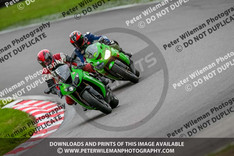 Oulton Park 17 Aug 2018;PJ Motorsport Photography 2018;anglesey;brands hatch;cadwell park;croft;donington park;enduro digital images;event digital images;eventdigitalimages;mallory;no limits;oulton park;peter wileman photography;racing digital images;silverstone;snetterton;trackday digital images;trackday photos;vmcc banbury run;welsh 2 day enduro