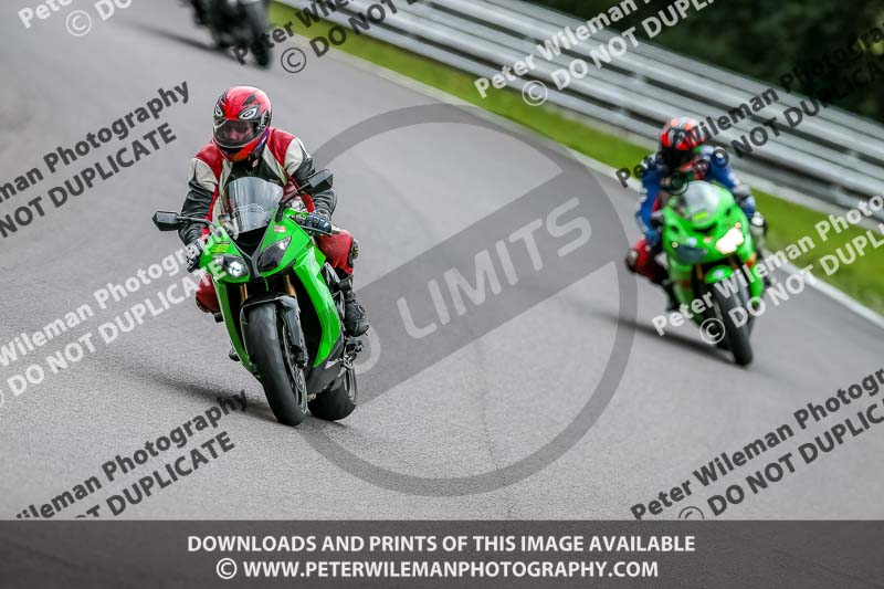 Oulton Park 17 Aug 2018;PJ Motorsport Photography 2018;anglesey;brands hatch;cadwell park;croft;donington park;enduro digital images;event digital images;eventdigitalimages;mallory;no limits;oulton park;peter wileman photography;racing digital images;silverstone;snetterton;trackday digital images;trackday photos;vmcc banbury run;welsh 2 day enduro