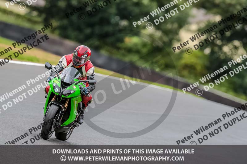 Oulton Park 17 Aug 2018;PJ Motorsport Photography 2018;anglesey;brands hatch;cadwell park;croft;donington park;enduro digital images;event digital images;eventdigitalimages;mallory;no limits;oulton park;peter wileman photography;racing digital images;silverstone;snetterton;trackday digital images;trackday photos;vmcc banbury run;welsh 2 day enduro