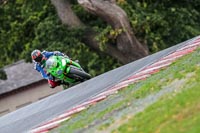 Oulton-Park-17-Aug-2018;PJ-Motorsport-Photography-2018;anglesey;brands-hatch;cadwell-park;croft;donington-park;enduro-digital-images;event-digital-images;eventdigitalimages;mallory;no-limits;oulton-park;peter-wileman-photography;racing-digital-images;silverstone;snetterton;trackday-digital-images;trackday-photos;vmcc-banbury-run;welsh-2-day-enduro