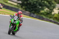 Oulton-Park-17-Aug-2018;PJ-Motorsport-Photography-2018;anglesey;brands-hatch;cadwell-park;croft;donington-park;enduro-digital-images;event-digital-images;eventdigitalimages;mallory;no-limits;oulton-park;peter-wileman-photography;racing-digital-images;silverstone;snetterton;trackday-digital-images;trackday-photos;vmcc-banbury-run;welsh-2-day-enduro