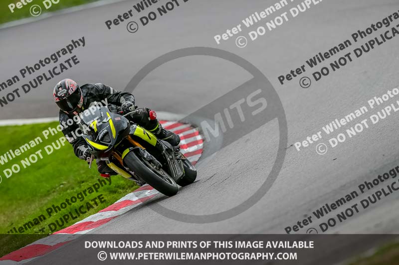 Oulton Park 17 Aug 2018;PJ Motorsport Photography 2018;anglesey;brands hatch;cadwell park;croft;donington park;enduro digital images;event digital images;eventdigitalimages;mallory;no limits;oulton park;peter wileman photography;racing digital images;silverstone;snetterton;trackday digital images;trackday photos;vmcc banbury run;welsh 2 day enduro