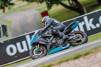 Oulton-Park-17-Aug-2018;PJ-Motorsport-Photography-2018;anglesey;brands-hatch;cadwell-park;croft;donington-park;enduro-digital-images;event-digital-images;eventdigitalimages;mallory;no-limits;oulton-park;peter-wileman-photography;racing-digital-images;silverstone;snetterton;trackday-digital-images;trackday-photos;vmcc-banbury-run;welsh-2-day-enduro