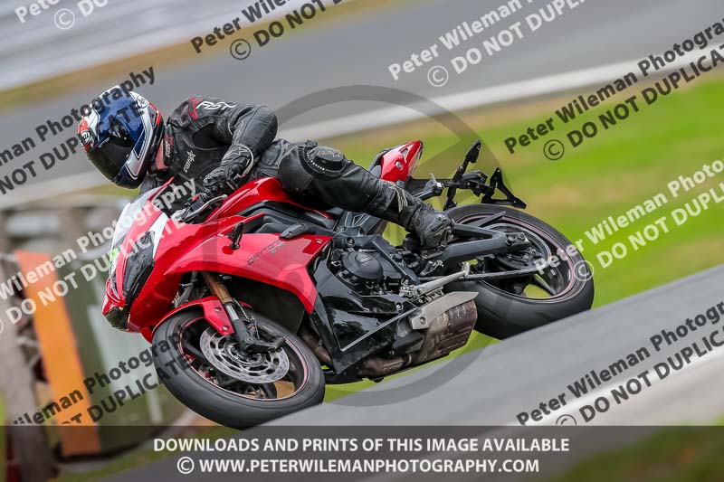 Oulton Park 17 Aug 2018;PJ Motorsport Photography 2018;anglesey;brands hatch;cadwell park;croft;donington park;enduro digital images;event digital images;eventdigitalimages;mallory;no limits;oulton park;peter wileman photography;racing digital images;silverstone;snetterton;trackday digital images;trackday photos;vmcc banbury run;welsh 2 day enduro