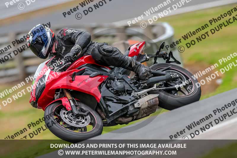 Oulton Park 17 Aug 2018;PJ Motorsport Photography 2018;anglesey;brands hatch;cadwell park;croft;donington park;enduro digital images;event digital images;eventdigitalimages;mallory;no limits;oulton park;peter wileman photography;racing digital images;silverstone;snetterton;trackday digital images;trackday photos;vmcc banbury run;welsh 2 day enduro