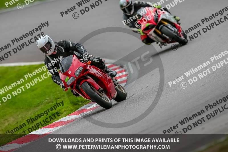 Oulton Park 17 Aug 2018;PJ Motorsport Photography 2018;anglesey;brands hatch;cadwell park;croft;donington park;enduro digital images;event digital images;eventdigitalimages;mallory;no limits;oulton park;peter wileman photography;racing digital images;silverstone;snetterton;trackday digital images;trackday photos;vmcc banbury run;welsh 2 day enduro