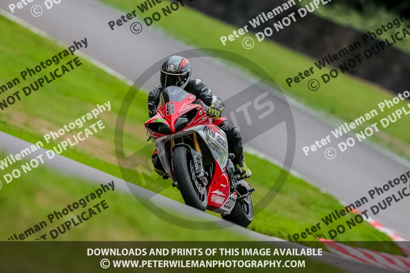 Oulton Park 17 Aug 2018;PJ Motorsport Photography 2018;anglesey;brands hatch;cadwell park;croft;donington park;enduro digital images;event digital images;eventdigitalimages;mallory;no limits;oulton park;peter wileman photography;racing digital images;silverstone;snetterton;trackday digital images;trackday photos;vmcc banbury run;welsh 2 day enduro