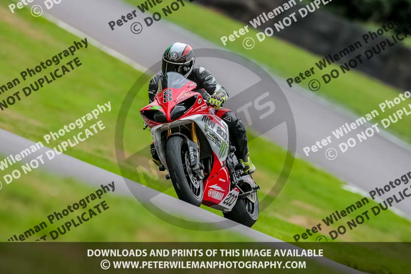 Oulton Park 17 Aug 2018;PJ Motorsport Photography 2018;anglesey;brands hatch;cadwell park;croft;donington park;enduro digital images;event digital images;eventdigitalimages;mallory;no limits;oulton park;peter wileman photography;racing digital images;silverstone;snetterton;trackday digital images;trackday photos;vmcc banbury run;welsh 2 day enduro