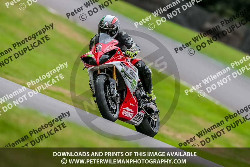 Oulton Park 17 Aug 2018;PJ Motorsport Photography 2018;anglesey;brands hatch;cadwell park;croft;donington park;enduro digital images;event digital images;eventdigitalimages;mallory;no limits;oulton park;peter wileman photography;racing digital images;silverstone;snetterton;trackday digital images;trackday photos;vmcc banbury run;welsh 2 day enduro