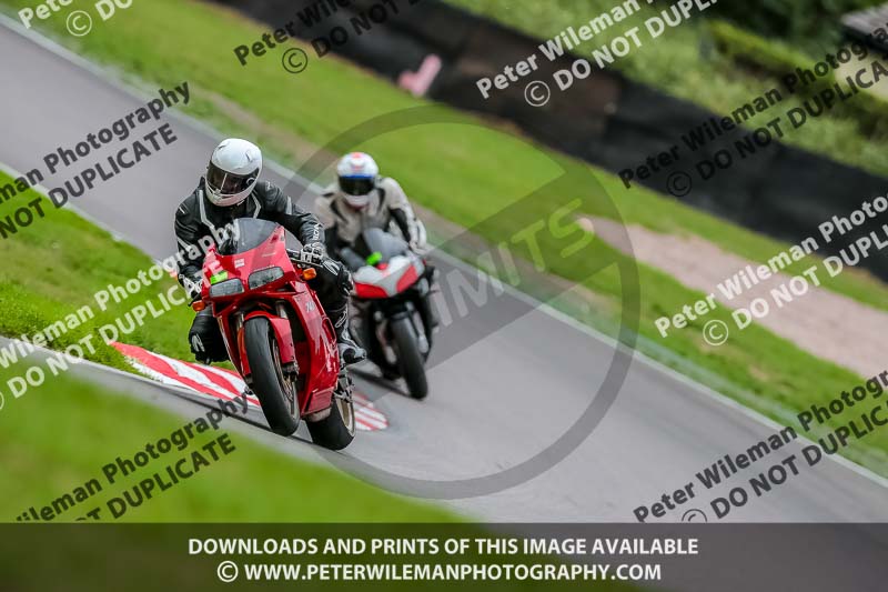 Oulton Park 17 Aug 2018;PJ Motorsport Photography 2018;anglesey;brands hatch;cadwell park;croft;donington park;enduro digital images;event digital images;eventdigitalimages;mallory;no limits;oulton park;peter wileman photography;racing digital images;silverstone;snetterton;trackday digital images;trackday photos;vmcc banbury run;welsh 2 day enduro