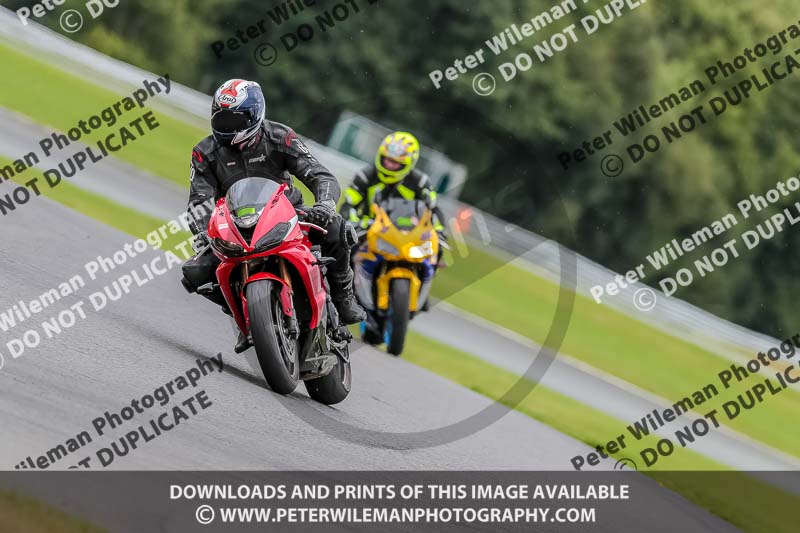 Oulton Park 17 Aug 2018;PJ Motorsport Photography 2018;anglesey;brands hatch;cadwell park;croft;donington park;enduro digital images;event digital images;eventdigitalimages;mallory;no limits;oulton park;peter wileman photography;racing digital images;silverstone;snetterton;trackday digital images;trackday photos;vmcc banbury run;welsh 2 day enduro