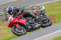 Oulton-Park-17-Aug-2018;PJ-Motorsport-Photography-2018;anglesey;brands-hatch;cadwell-park;croft;donington-park;enduro-digital-images;event-digital-images;eventdigitalimages;mallory;no-limits;oulton-park;peter-wileman-photography;racing-digital-images;silverstone;snetterton;trackday-digital-images;trackday-photos;vmcc-banbury-run;welsh-2-day-enduro