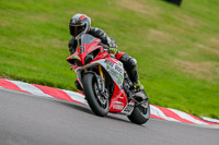 Oulton-Park-17-Aug-2018;PJ-Motorsport-Photography-2018;anglesey;brands-hatch;cadwell-park;croft;donington-park;enduro-digital-images;event-digital-images;eventdigitalimages;mallory;no-limits;oulton-park;peter-wileman-photography;racing-digital-images;silverstone;snetterton;trackday-digital-images;trackday-photos;vmcc-banbury-run;welsh-2-day-enduro