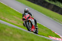 Oulton-Park-17-Aug-2018;PJ-Motorsport-Photography-2018;anglesey;brands-hatch;cadwell-park;croft;donington-park;enduro-digital-images;event-digital-images;eventdigitalimages;mallory;no-limits;oulton-park;peter-wileman-photography;racing-digital-images;silverstone;snetterton;trackday-digital-images;trackday-photos;vmcc-banbury-run;welsh-2-day-enduro