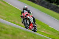 Oulton-Park-17-Aug-2018;PJ-Motorsport-Photography-2018;anglesey;brands-hatch;cadwell-park;croft;donington-park;enduro-digital-images;event-digital-images;eventdigitalimages;mallory;no-limits;oulton-park;peter-wileman-photography;racing-digital-images;silverstone;snetterton;trackday-digital-images;trackday-photos;vmcc-banbury-run;welsh-2-day-enduro