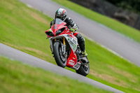 Oulton-Park-17-Aug-2018;PJ-Motorsport-Photography-2018;anglesey;brands-hatch;cadwell-park;croft;donington-park;enduro-digital-images;event-digital-images;eventdigitalimages;mallory;no-limits;oulton-park;peter-wileman-photography;racing-digital-images;silverstone;snetterton;trackday-digital-images;trackday-photos;vmcc-banbury-run;welsh-2-day-enduro