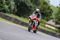 Oulton-Park-17-Aug-2018;PJ-Motorsport-Photography-2018;anglesey;brands-hatch;cadwell-park;croft;donington-park;enduro-digital-images;event-digital-images;eventdigitalimages;mallory;no-limits;oulton-park;peter-wileman-photography;racing-digital-images;silverstone;snetterton;trackday-digital-images;trackday-photos;vmcc-banbury-run;welsh-2-day-enduro