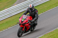 Oulton-Park-17-Aug-2018;PJ-Motorsport-Photography-2018;anglesey;brands-hatch;cadwell-park;croft;donington-park;enduro-digital-images;event-digital-images;eventdigitalimages;mallory;no-limits;oulton-park;peter-wileman-photography;racing-digital-images;silverstone;snetterton;trackday-digital-images;trackday-photos;vmcc-banbury-run;welsh-2-day-enduro