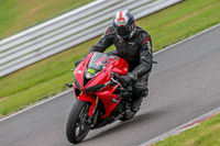 Oulton-Park-17-Aug-2018;PJ-Motorsport-Photography-2018;anglesey;brands-hatch;cadwell-park;croft;donington-park;enduro-digital-images;event-digital-images;eventdigitalimages;mallory;no-limits;oulton-park;peter-wileman-photography;racing-digital-images;silverstone;snetterton;trackday-digital-images;trackday-photos;vmcc-banbury-run;welsh-2-day-enduro