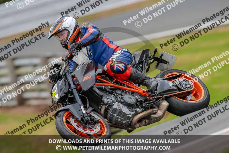 Oulton Park 17 Aug 2018;PJ Motorsport Photography 2018;anglesey;brands hatch;cadwell park;croft;donington park;enduro digital images;event digital images;eventdigitalimages;mallory;no limits;oulton park;peter wileman photography;racing digital images;silverstone;snetterton;trackday digital images;trackday photos;vmcc banbury run;welsh 2 day enduro