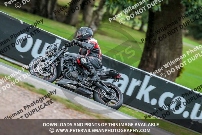 Oulton Park 17 Aug 2018;PJ Motorsport Photography 2018;anglesey;brands hatch;cadwell park;croft;donington park;enduro digital images;event digital images;eventdigitalimages;mallory;no limits;oulton park;peter wileman photography;racing digital images;silverstone;snetterton;trackday digital images;trackday photos;vmcc banbury run;welsh 2 day enduro