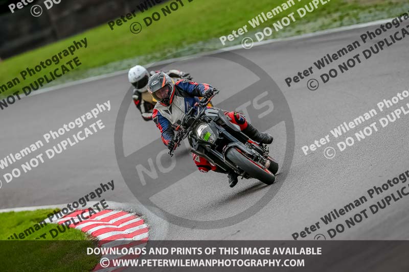 Oulton Park 17 Aug 2018;PJ Motorsport Photography 2018;anglesey;brands hatch;cadwell park;croft;donington park;enduro digital images;event digital images;eventdigitalimages;mallory;no limits;oulton park;peter wileman photography;racing digital images;silverstone;snetterton;trackday digital images;trackday photos;vmcc banbury run;welsh 2 day enduro