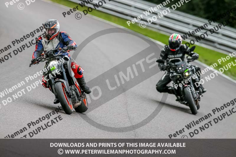 Oulton Park 17 Aug 2018;PJ Motorsport Photography 2018;anglesey;brands hatch;cadwell park;croft;donington park;enduro digital images;event digital images;eventdigitalimages;mallory;no limits;oulton park;peter wileman photography;racing digital images;silverstone;snetterton;trackday digital images;trackday photos;vmcc banbury run;welsh 2 day enduro