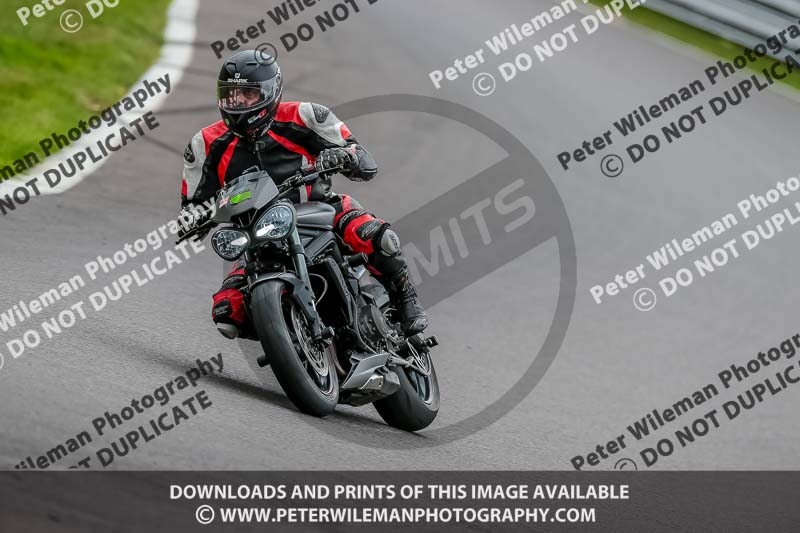 Oulton Park 17 Aug 2018;PJ Motorsport Photography 2018;anglesey;brands hatch;cadwell park;croft;donington park;enduro digital images;event digital images;eventdigitalimages;mallory;no limits;oulton park;peter wileman photography;racing digital images;silverstone;snetterton;trackday digital images;trackday photos;vmcc banbury run;welsh 2 day enduro