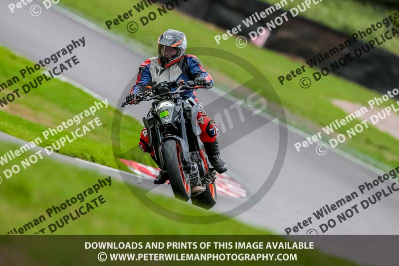 Oulton Park 17 Aug 2018;PJ Motorsport Photography 2018;anglesey;brands hatch;cadwell park;croft;donington park;enduro digital images;event digital images;eventdigitalimages;mallory;no limits;oulton park;peter wileman photography;racing digital images;silverstone;snetterton;trackday digital images;trackday photos;vmcc banbury run;welsh 2 day enduro